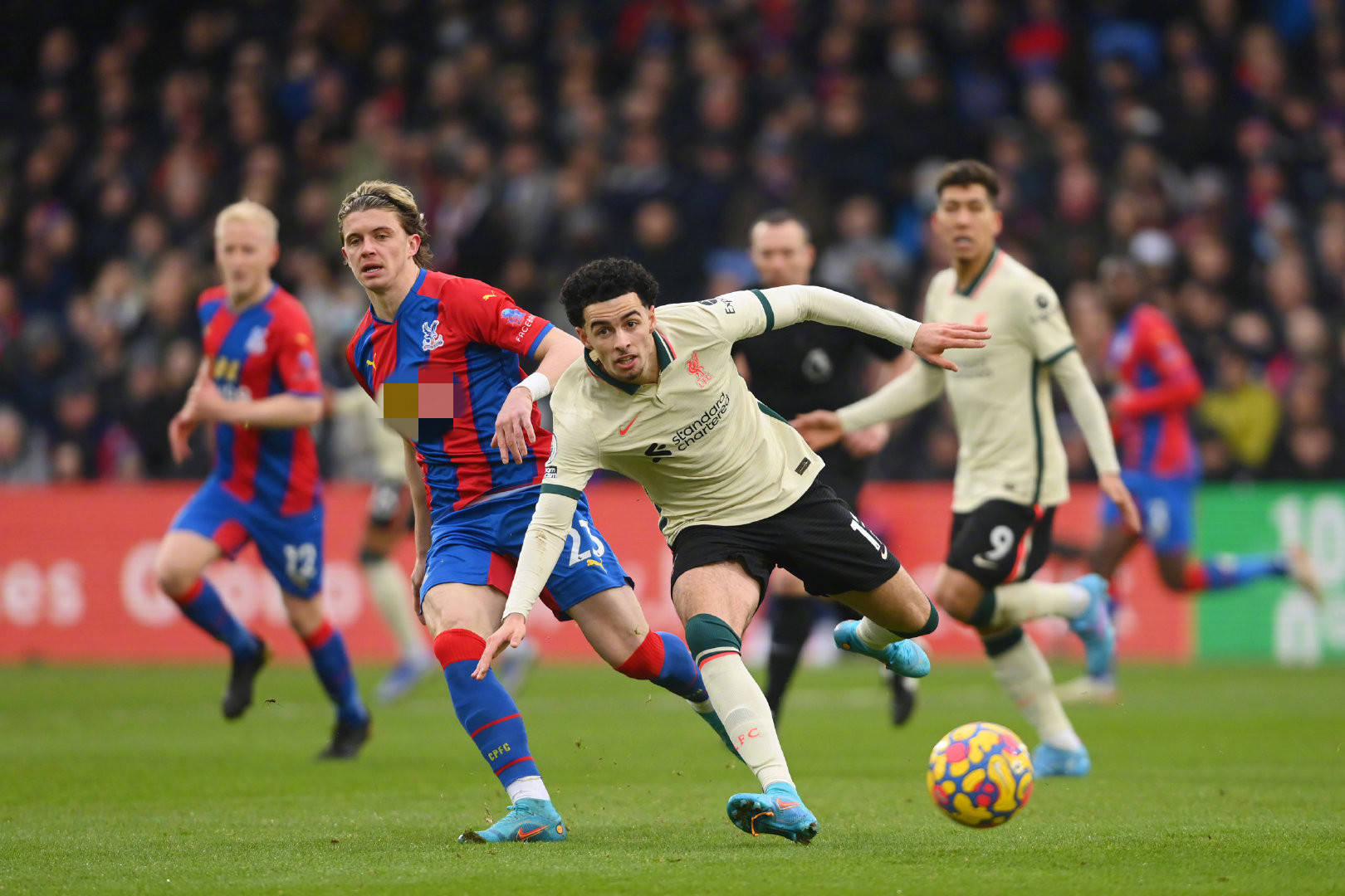 己的观赛体 己的观赛体